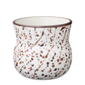 Bylur Brúnn