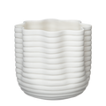 Skeljar Lítil